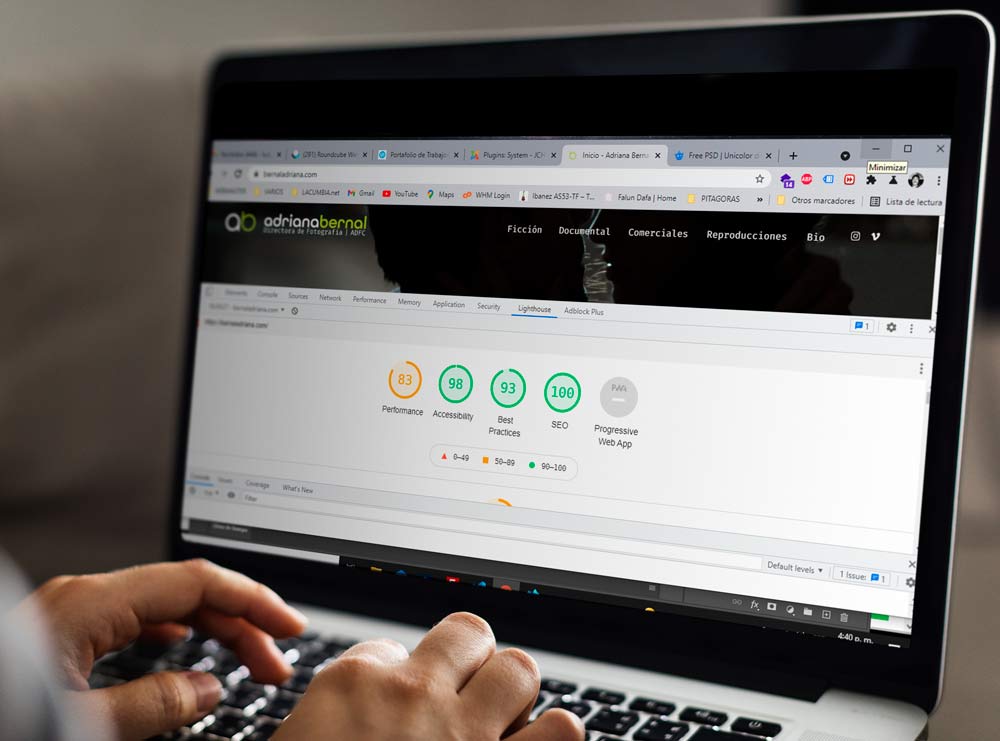Optimización de Páginas Web Wordpress