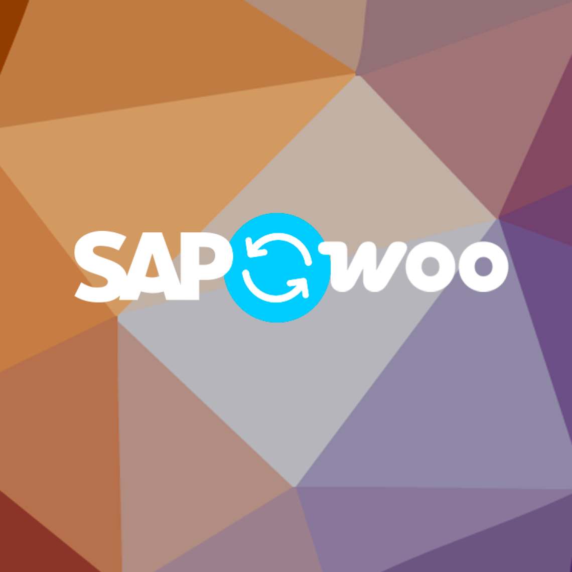 SAP Woo Sync: Un plugin gratuíto de Integración ERP para WooCommerce